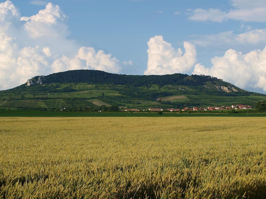 Penzion Kratochvil Dolní Dunajovice Εξωτερικό φωτογραφία