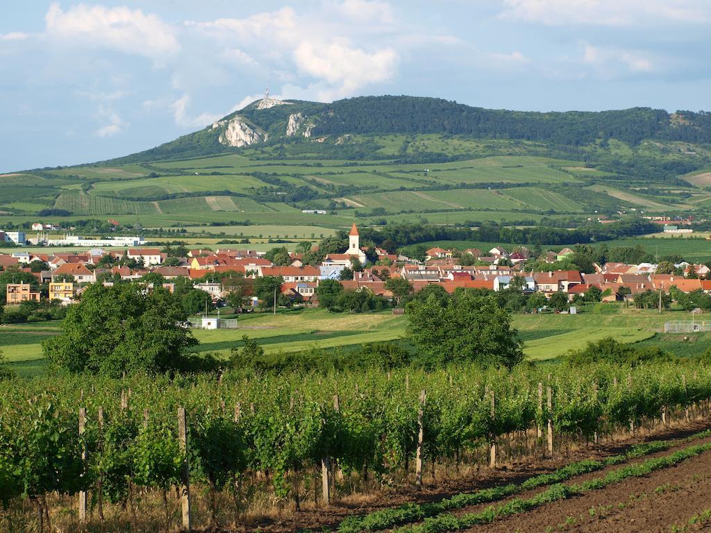 Penzion Kratochvil Dolní Dunajovice Εξωτερικό φωτογραφία
