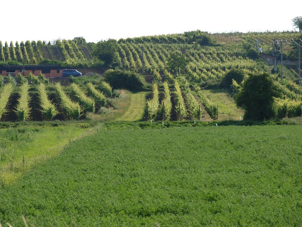Penzion Kratochvil Dolní Dunajovice Εξωτερικό φωτογραφία